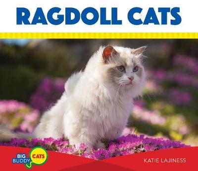 Book cover for Ragdoll Cats