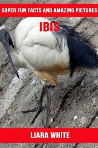 Cover of Ibis