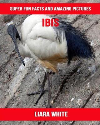 Book cover for Ibis