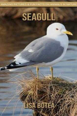 Cover of Seagull