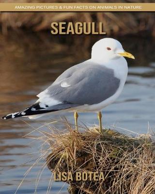 Book cover for Seagull