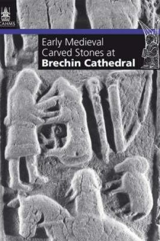 Cover of Early Medieval Carved Stones at Brechin Cathedral