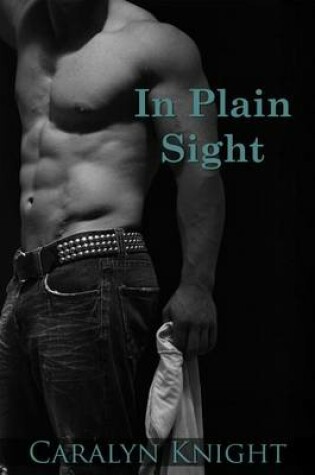 Cover of In Plain Sight