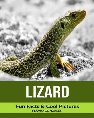 Book cover for Lizard