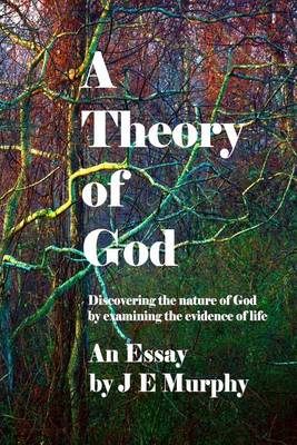 Book cover for A Theory of God