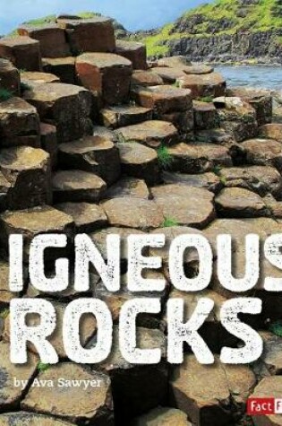 Cover of Rocks Igneous Rocks