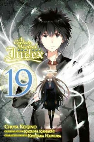 Cover of A Certain Magical Index, Vol. 20 (light novel)