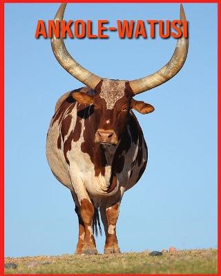 Book cover for Ankole-Watusi