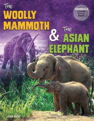 Book cover for The Woolly Mammoth and the Asian Elephant