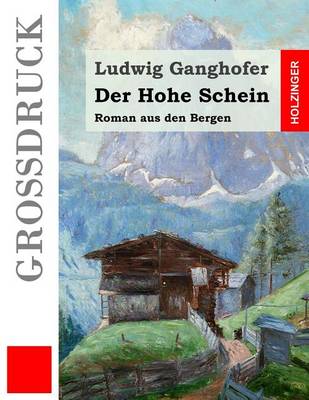 Book cover for Der Hohe Schein (Grossdruck)