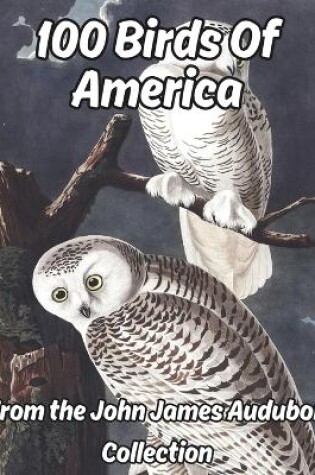 Cover of 100 Birds of America VOLUME 1