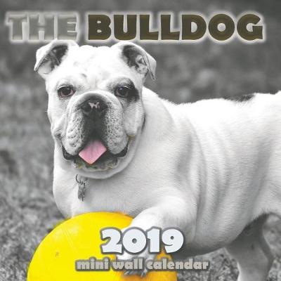 Book cover for The Bulldog 2019 Mini Wall Calendar