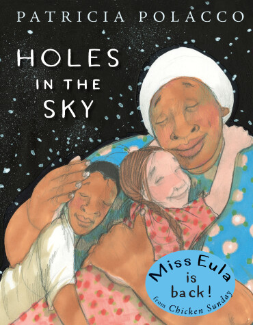Book cover for Holes in the Sky