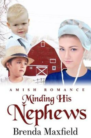 Cover of Minding His Nephews