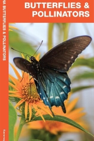 Cover of Arizona Butterflies & Pollinators