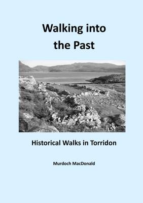 Book cover for Walking into the Past