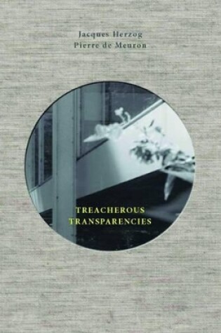 Cover of Treacherous Transparencies