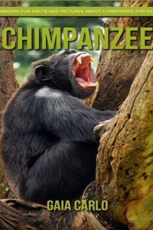 Cover of Chimpanzee