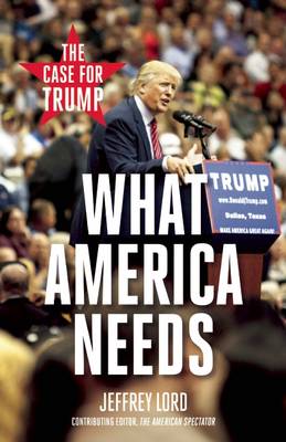 Book cover for What America Needs