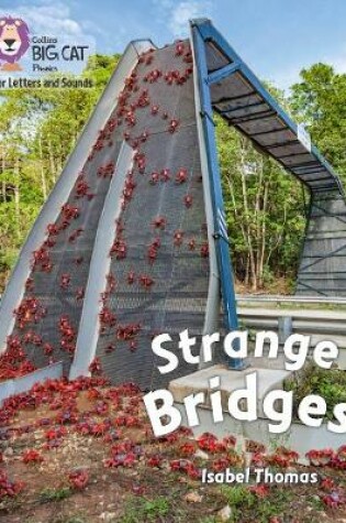 Cover of Strange Bridges
