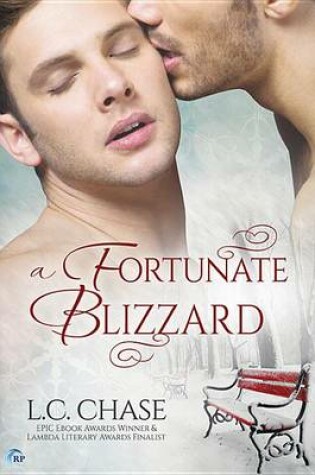 Cover of A Fortunate Blizzard