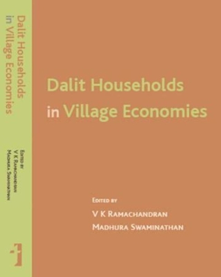 Book cover for Dalit Households in Village Economies