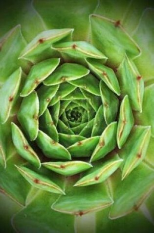 Cover of Hen and Chicks Sedum Succulent Plant Journal