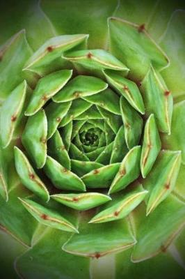 Book cover for Hen and Chicks Sedum Succulent Plant Journal