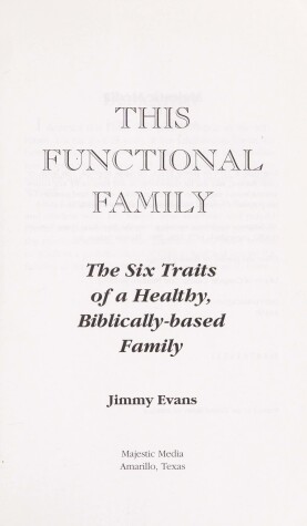 Book cover for This Functional Family
