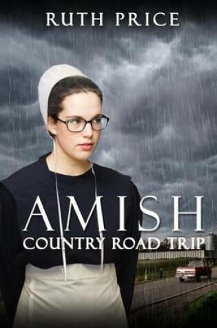 Cover of Amish Country Road Trip