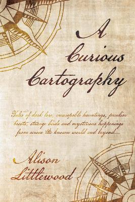Book cover for A Curious Cartography