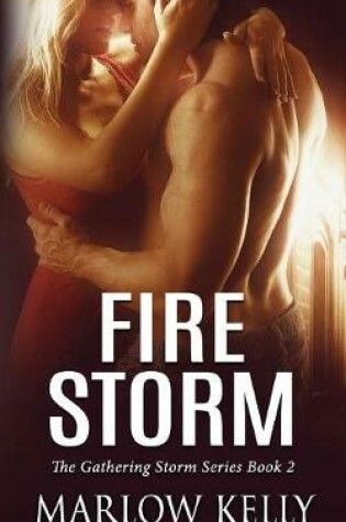 Cover of Fire Storm