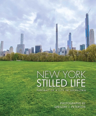 Book cover for New York Stilled Life