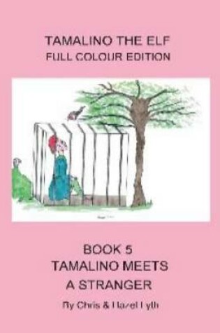 Cover of Tamalino Meets a Stranger