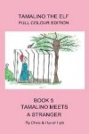 Book cover for Tamalino Meets a Stranger