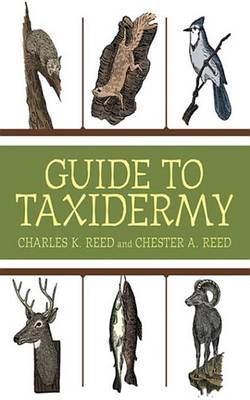 Book cover for Guide to Taxidermy