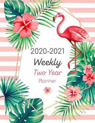 Book cover for 2020-2021 Weekly Two Year Planner