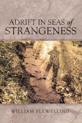 Book cover for Adrift in Seas of Strangeness