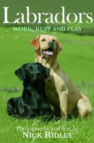 Cover of Labradors