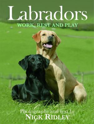 Book cover for Labradors