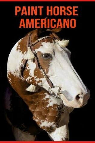 Cover of Paint Horse Americano