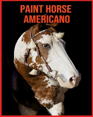 Book cover for Paint Horse Americano