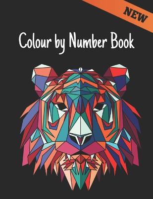 Book cover for Colour by Number