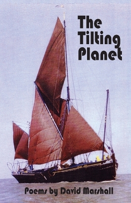 Book cover for The Tilting Planet