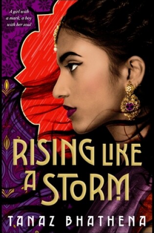 Cover of Rising Like a Storm