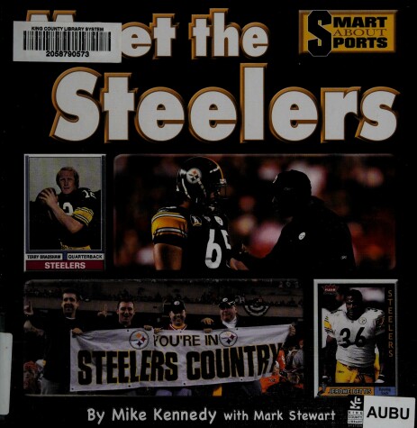 Book cover for Meet the Steelers