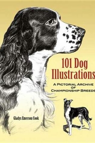 Cover of 101 Dog Illustrations