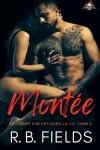 Book cover for Montée