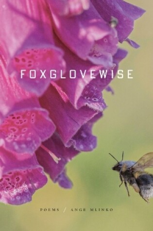 Cover of Foxglovewise