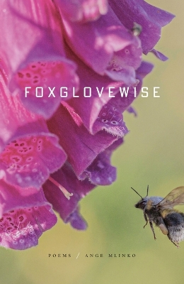 Book cover for Foxglovewise